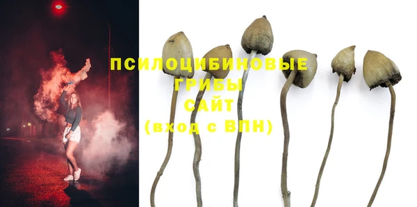 МДПВ Горнозаводск