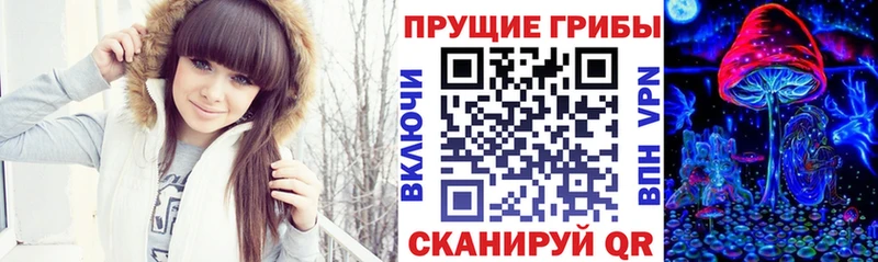 Галлюциногенные грибы MAGIC MUSHROOMS  Купить где  Кизляр 